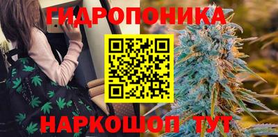 прущие крисы Краснокаменск