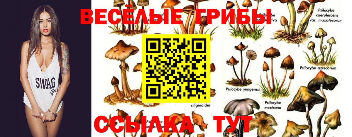 Псилоцибиновые грибы ЛСД  где найти   Вход с VPN  Череповец  Псилоцибиновые грибы ЛСД 