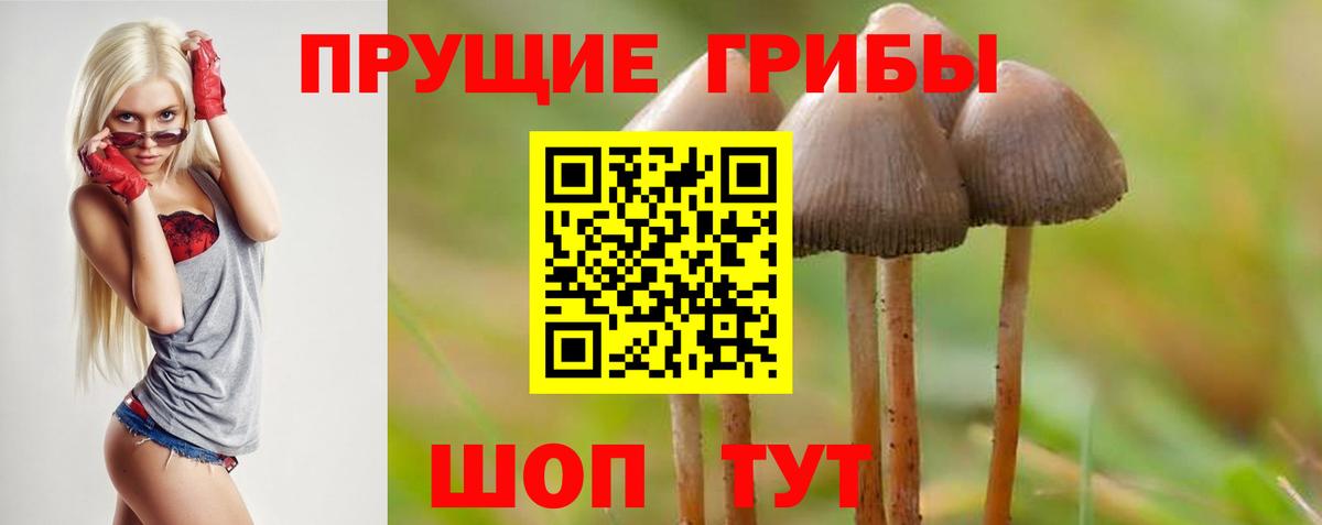 Галлюциногенные грибы MAGIC MUSHROOMS Череповец